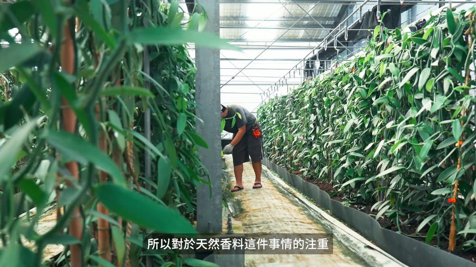 形象廣告:太陽能光電板